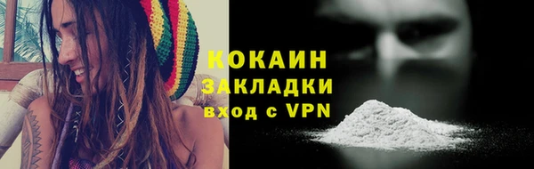 дмт Белокуриха