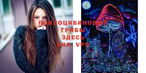 прущая мука Богородск