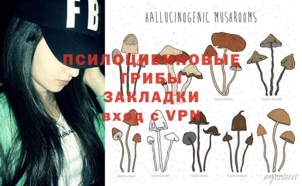 ALPHA PVP Богородицк