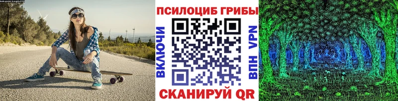 Галлюциногенные грибы Magic Shrooms  где купить наркотик  Верещагино 